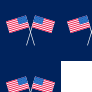 America 07